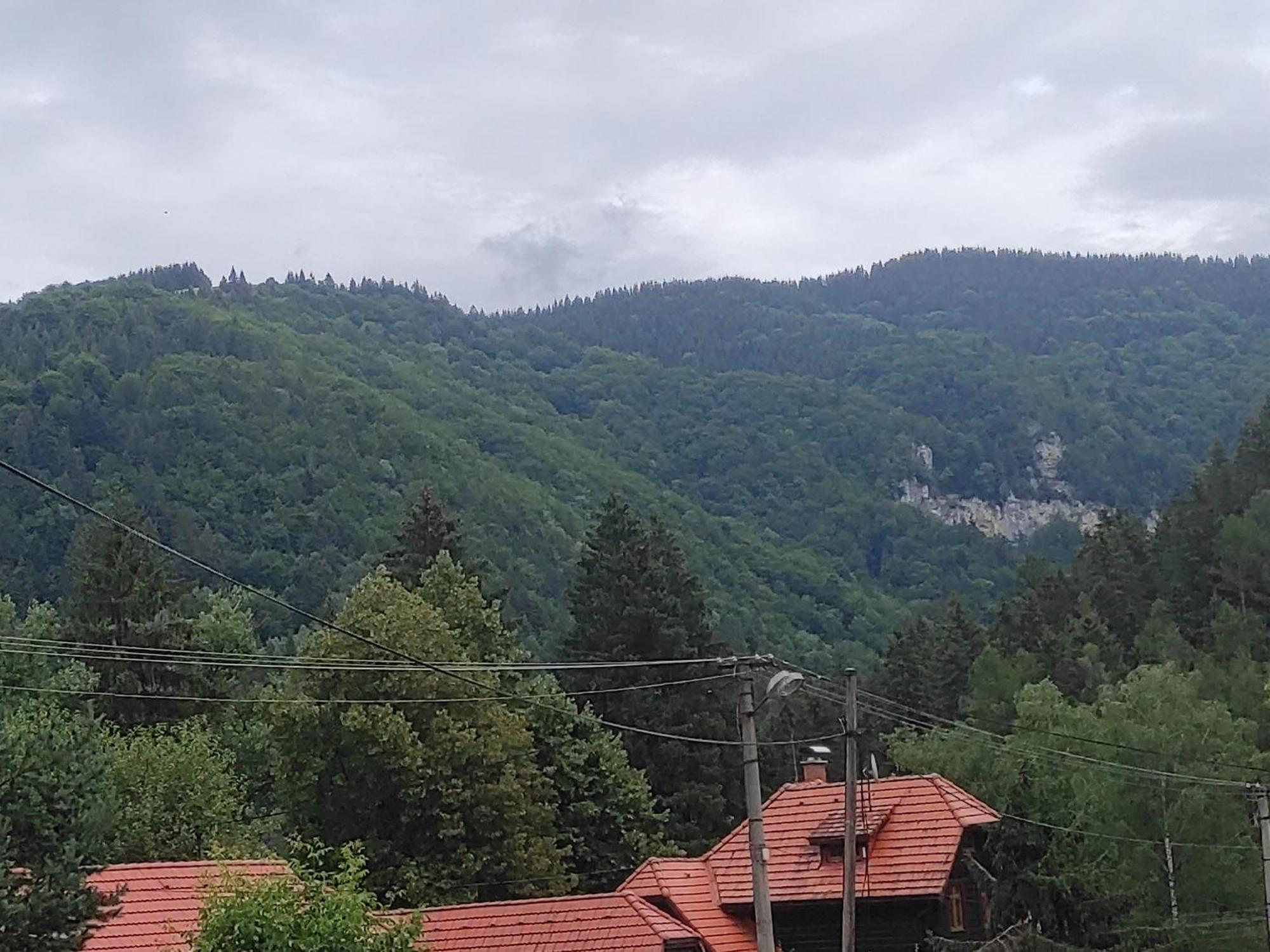 Penzion Smrekovica Rużomberk Zewnętrze zdjęcie
